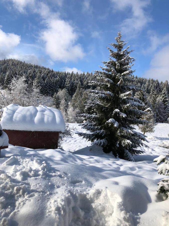 Gite Moya Gérardmer Buitenkant foto
