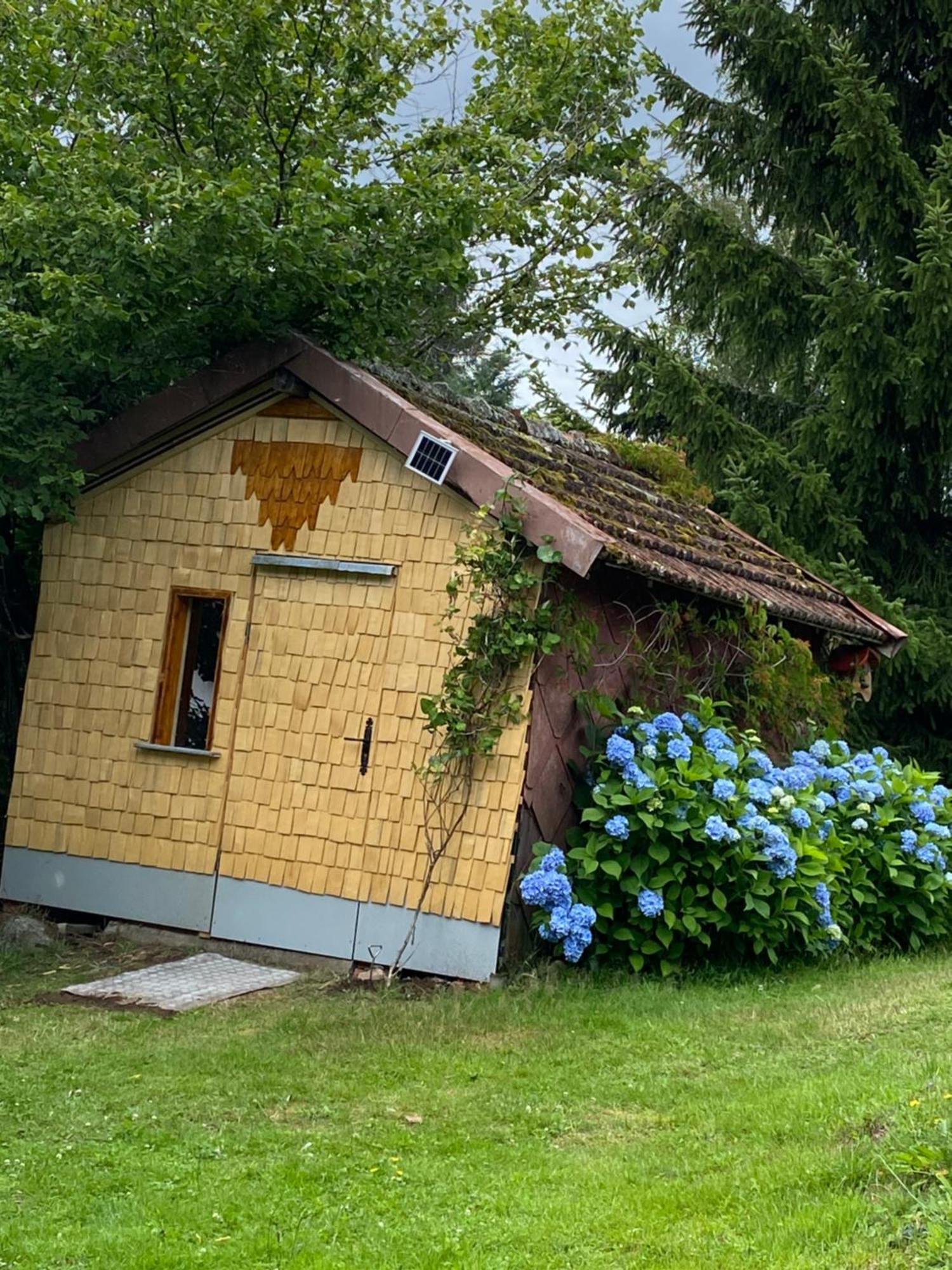 Gite Moya Gérardmer Buitenkant foto
